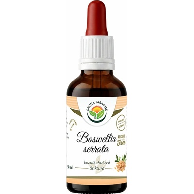 Salvia Paradise Boswellia serrata kadidlovník AF tinktura 50 ml