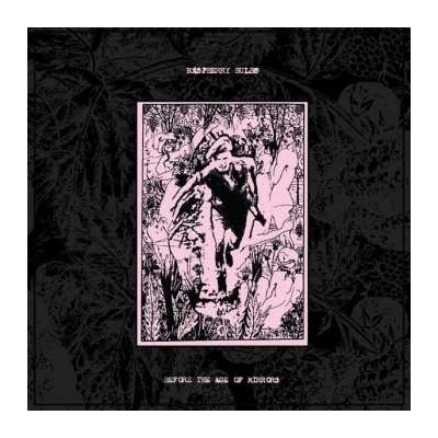 Raspberry Bulbs - Before The Age Of Mirrors LP