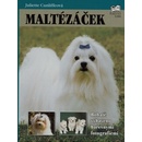 Maltézáček