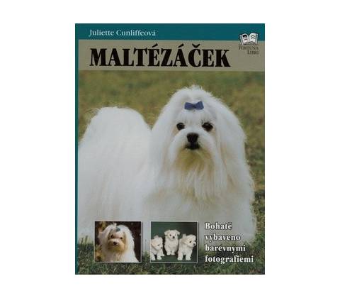 Maltézáček