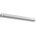 Fulgur 24481