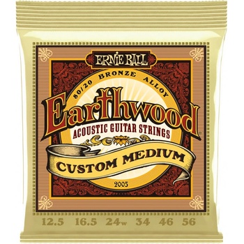 Ernie Ball 2005