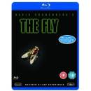 The Fly BD