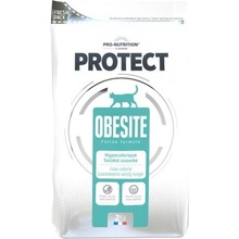 Flatazor PROTECT CAT obesite 2 kg