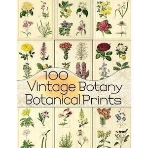 100 Vintage Botany Botanical Prints (ISBN: 9781723879944)