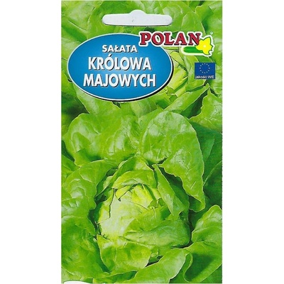 Šalát hlávkový májový 1 g
