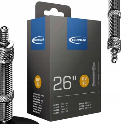 Schwalbe DV