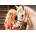 Castorland - Puzzle My Friend Horse - 1 000 piese