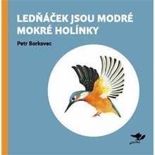 Lednáček jsou modré mokré holínky - Petr Borkovec