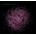 BARBAROSSA: IMAGER CD