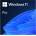 Microsoft Win 11 pro 64bit eng usb fpp (win 11 pro 64bit eng usb fpp)