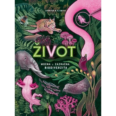 Život - Jennifer N. R. Smith