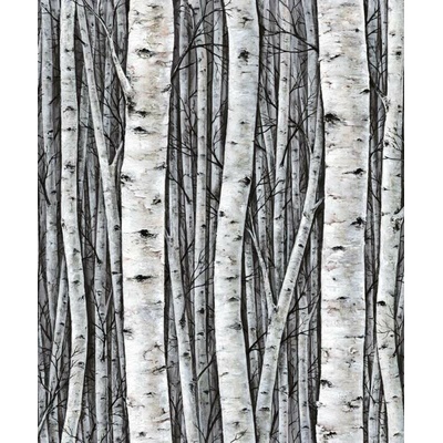 Marburg 35397 Vliesová fototapeta na zeď Timber, rozměry 0,53 x 10,05 m