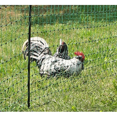 Neelektrifikovaná sieť pre hydinu zelená - 50m/106cm jeden hrot