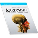 Anatomie 2