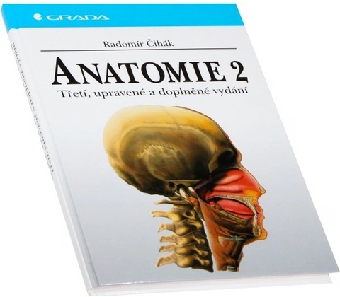 Anatomie 2