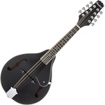 Pasadena FSM01BK Black Мандолина (FSM01BK)