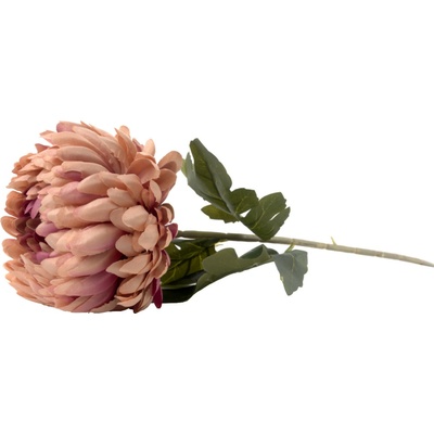 KS CHRYZANTÉMA BIELA 75CM