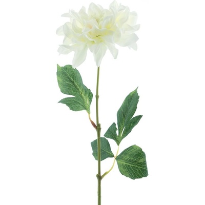 Jiřinka - Dahlia 'Farmer' krémová V64 cm