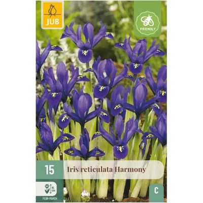 Karta Kosatec Iris Harmony 15 cibulí "B"