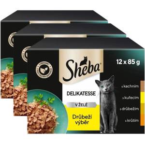 Sheba Деликатес Капсула с пилешки избор в желе 3 x (12 x 85г)