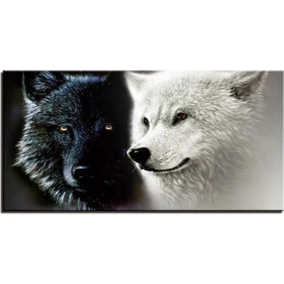 1 dílné obrazy - Black and White vlci Velikost 30x60