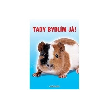 Nálepka 12x8,5 cm morče