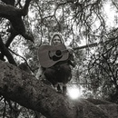 Hello, Hi - Ty Segall LP
