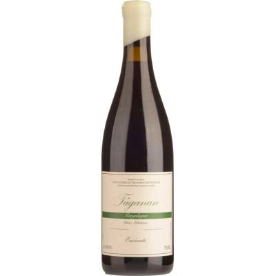 Envinate Taganan Parcela Margalagua 2024 Červené 12% 0,75 l (holá láhev)
