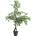 Bizzotto ИЗКУСТВЕНО РАСТЕНИЕ ficus 120cm ПЪСТРО (0172636)