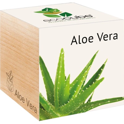 Feel Green ecocube "Exotics" aloe vera