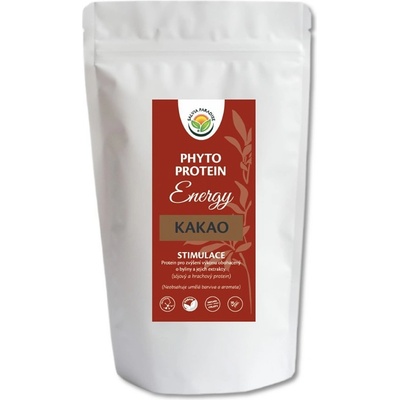 Salvia Paradise Phyto Protein Energy - kakao 300 g