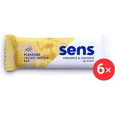 SENS Pleasure Protein tyčinka s cvrččí moukou, 6 x 60 g