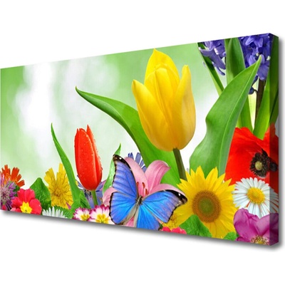 Obraz Canvas Motýľ kvety príroda 100x50 cm