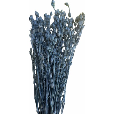Silene modrá 100 g