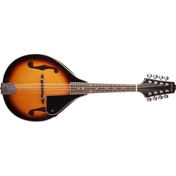 Stagg M20 S