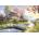Castorland - Puzzle Cottage - 1 500 piese