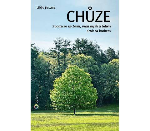 Chůze
