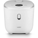 Lauben 3000WT