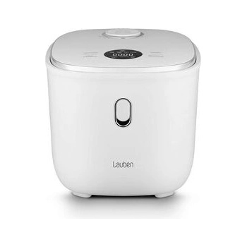 Lauben 3000WT