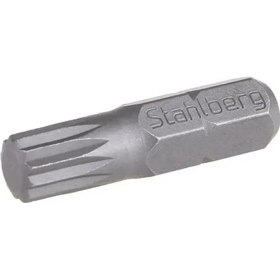 Stahlberg Bit XZN M6 18872
