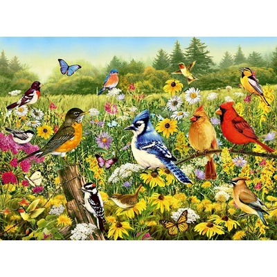 Ravensburger 169887 Vtáčia lúka 500 dielov