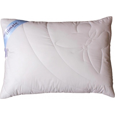 2G polštář Cirrus 350g 60x40