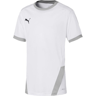 Puma teamGOAL 23 Jersey Jr 704160