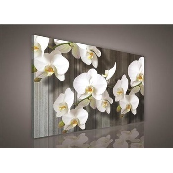 Obraz na plátne, rozmer 100 x 75 cm, orchidea, IMPOL TRADE PP416O1