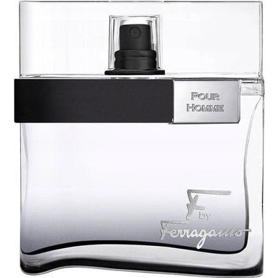 Salvatore Ferragamo F Black Pour Homme toaletná voda pánska 100 ml
