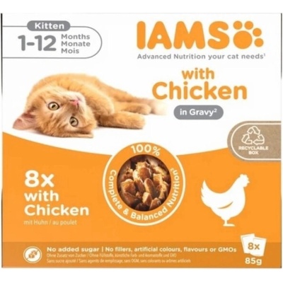 IAMS DELIGHTS Kitten in Gravy box 8 x 85 g