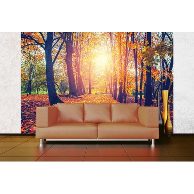 DIMEX ART Самозалепваща се флизелинова фототапета есенна алея 375 x 250 см