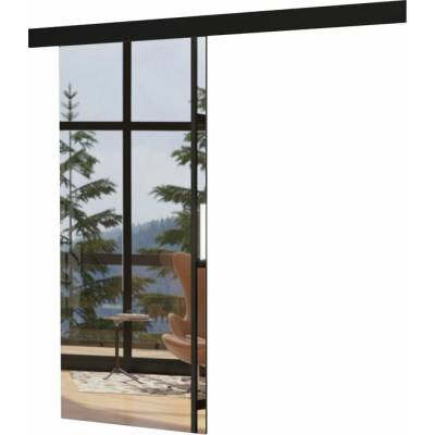 Sconto Posuvné dvere TESS 86 čierna, 86x205 cm