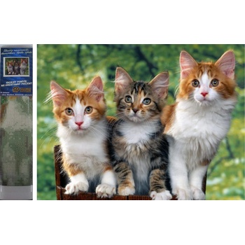 Norimpex - Puzzle Diamond Painting Cats 30x40cm - 1 - 39 piese